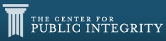 website logo