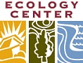 logo of the website