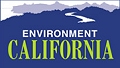 logo of the website