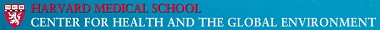logo of the website