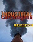 cover of the report