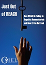 cover of the report