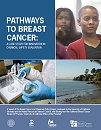 cover of the report