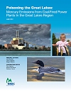 cover of the report