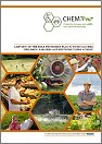 cover of the report