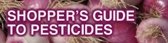 logo of the guide