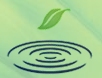 logo of the website