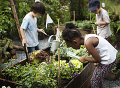 Kids at a school garden