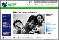 BirthDefectsWebpage