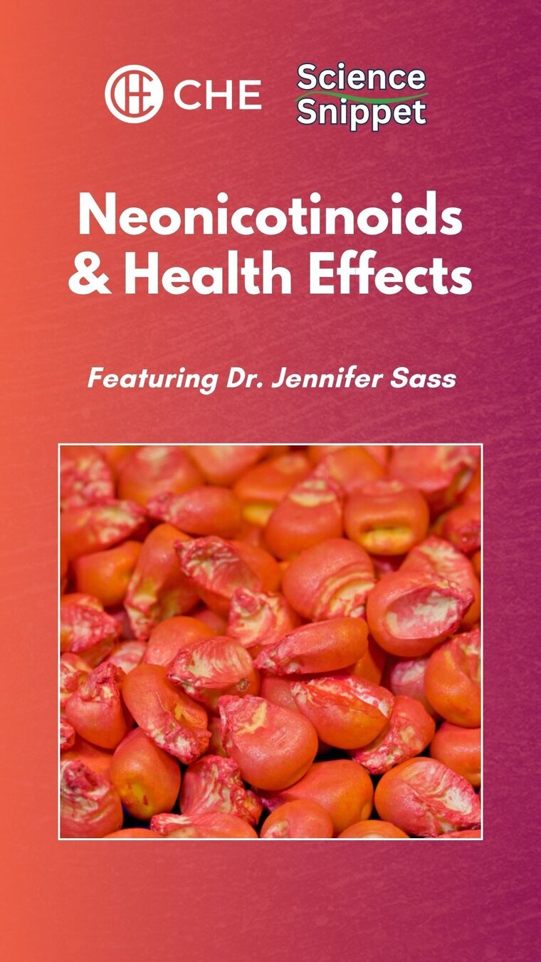 cover image for video