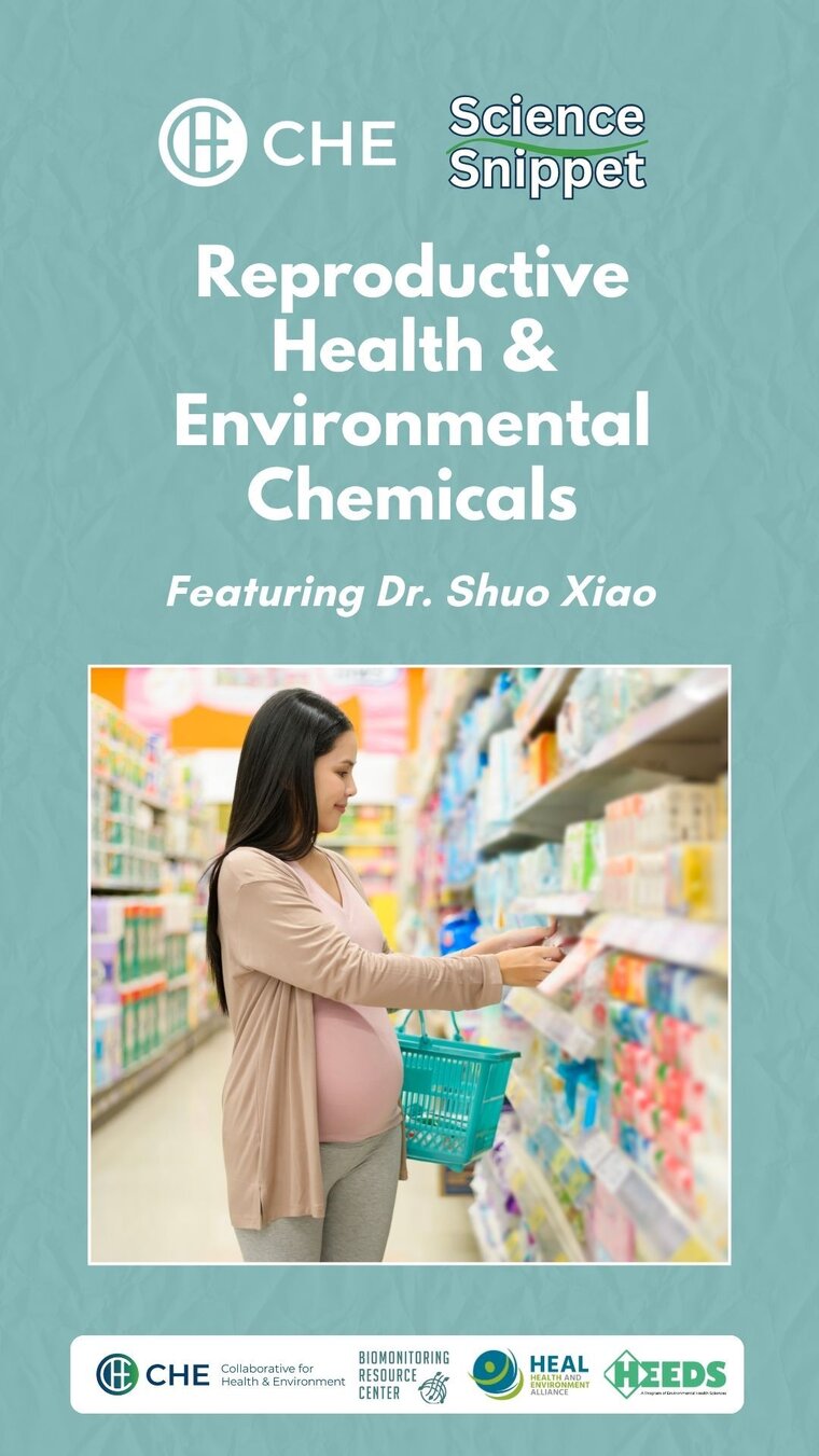 cover image for video