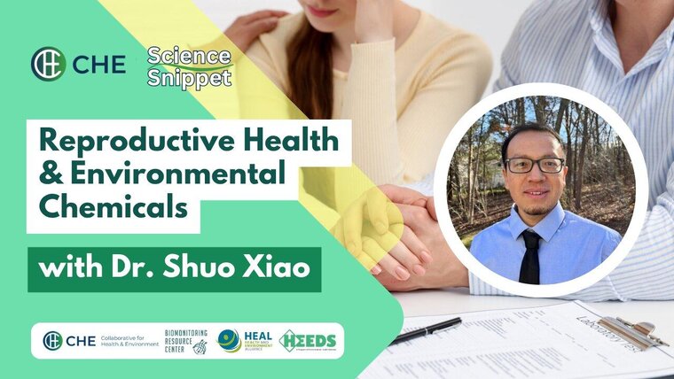 cover image for video