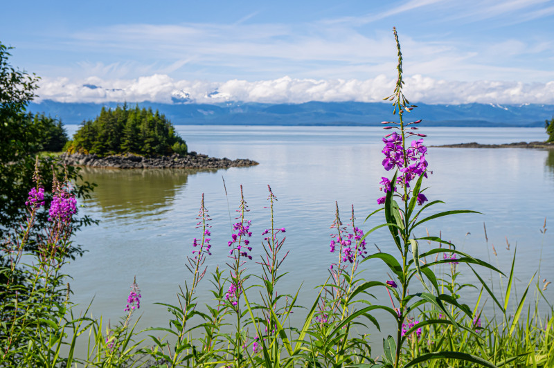 scenic water view near Juneau Alaska