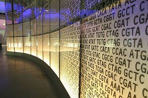 genetic code at the  Science Museum in London