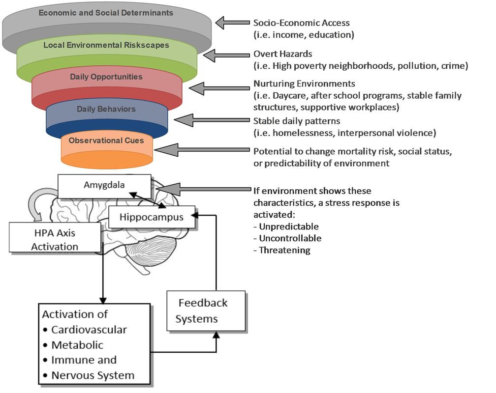 Psychosocial Risk Factors and their Impact on the Performance of