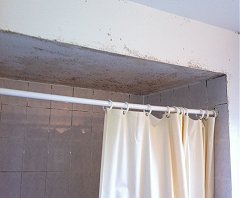 moldy shower area