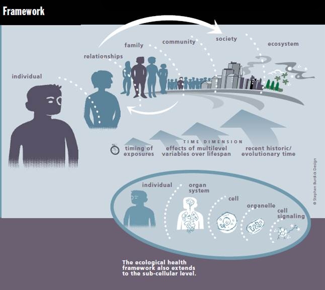 framework of an ecologic model of health and disease